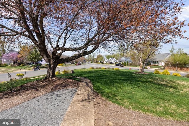 6801 DUKE DR, Alexandria, VA 22307