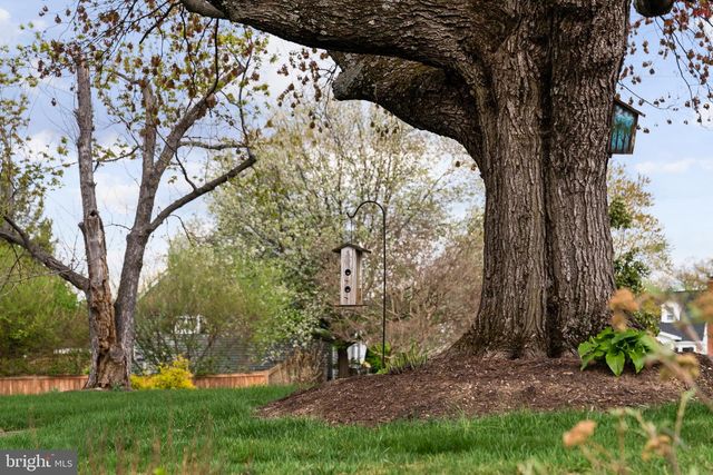 6801 DUKE DR, Alexandria, VA 22307