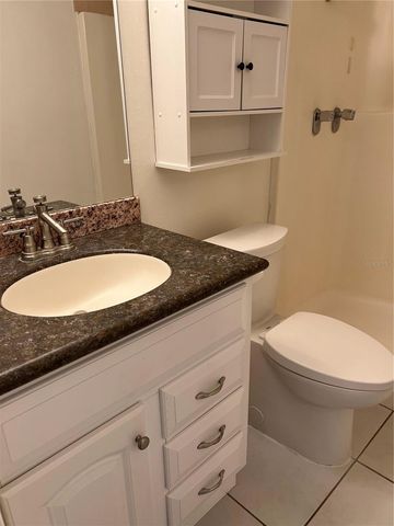 16039 GRASS LAKE DR, Tampa, FL 33618