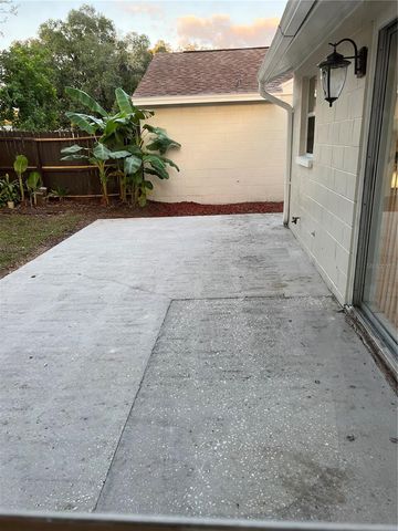 16039 GRASS LAKE DR, Tampa, FL 33618