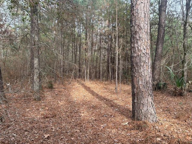 19043 Miranda Drive, Cleveland, TX 77328