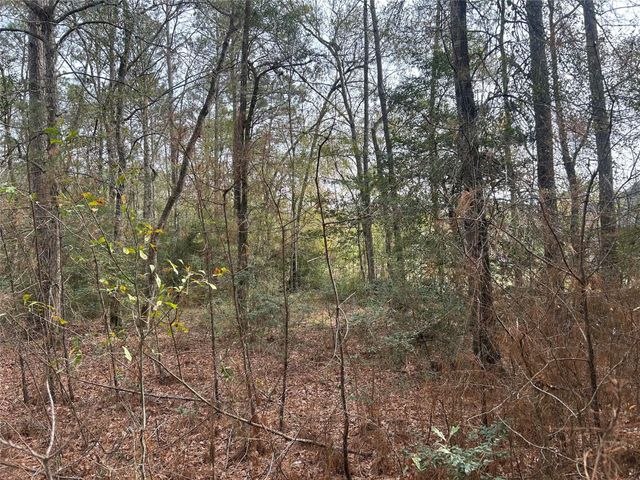 19043 Miranda Drive, Cleveland, TX 77328