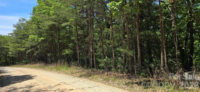 Lot 22B Pinnacle Parkway, Union Mills, NC 28167