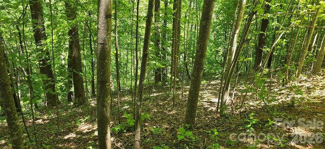 Lot 22B Pinnacle Parkway, Union Mills, NC 28167