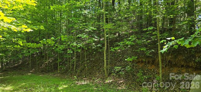 Lot 22B Pinnacle Parkway, Union Mills, NC 28167