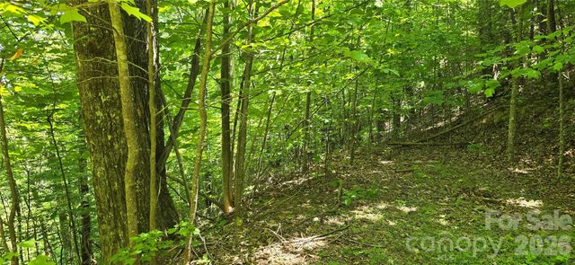 Lot 22B Pinnacle Parkway, Union Mills, NC 28167