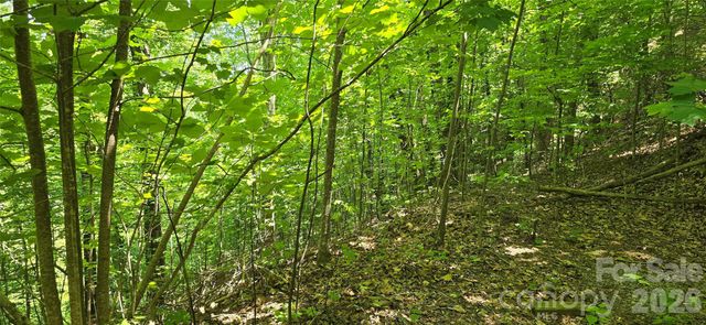 Lot 22B Pinnacle Parkway, Union Mills, NC 28167