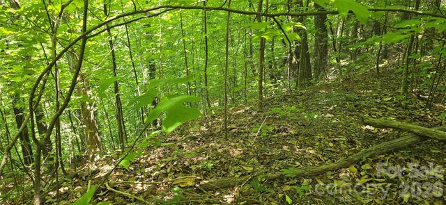 Lot 22B Pinnacle Parkway, Union Mills, NC 28167