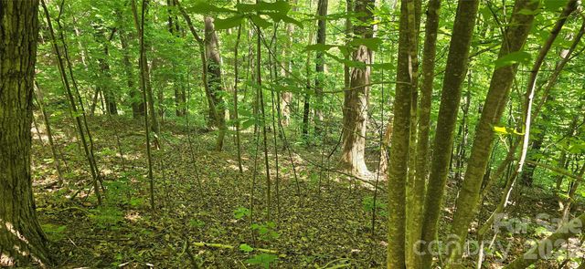 Lot 22B Pinnacle Parkway, Union Mills, NC 28167