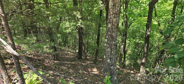 Lot 22B Pinnacle Parkway, Union Mills, NC 28167