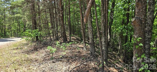 Lot 22B Pinnacle Parkway, Union Mills, NC 28167