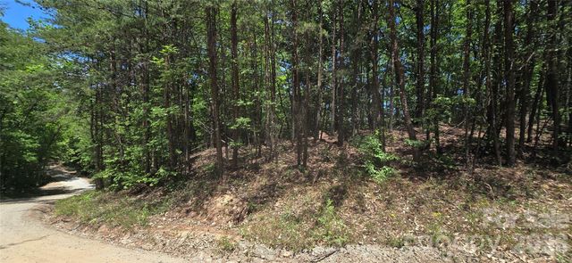 Lot 22B Pinnacle Parkway, Union Mills, NC 28167