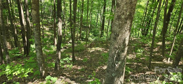 Lot 22B Pinnacle Parkway, Union Mills, NC 28167