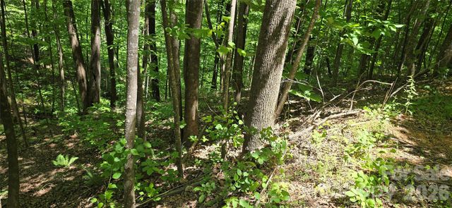 Lot 22B Pinnacle Parkway, Union Mills, NC 28167