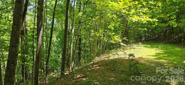 Lot 22B Pinnacle Parkway, Union Mills, NC 28167