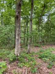 0 Eagle Nest Ln, Big Sandy, TN 38221