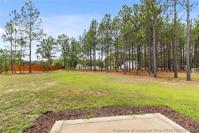 161 Desert Orchid Circle, Raeford, NC 28376