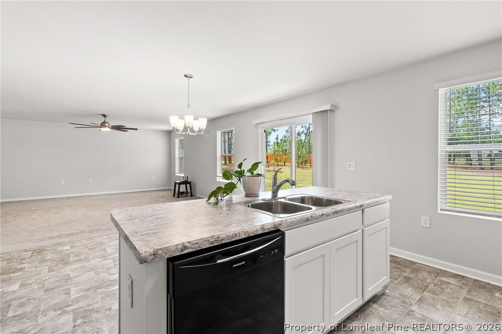 161 Desert Orchid Circle, Raeford, NC 28376 — photo 16