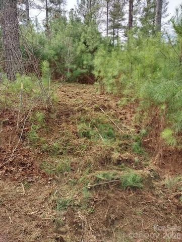 TBD Windward Lane 33, Granite Falls, NC 28630