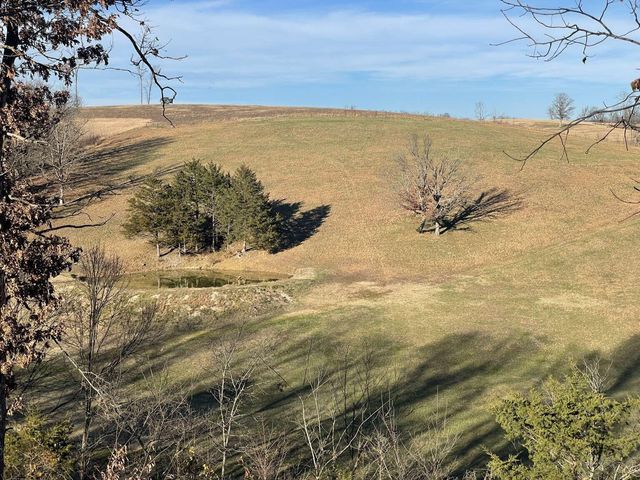 1633 Jessie James Road, Pineville, MO 64856