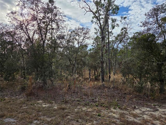 0000 SE 128TH AVENUE, Dunnellon, FL 34431