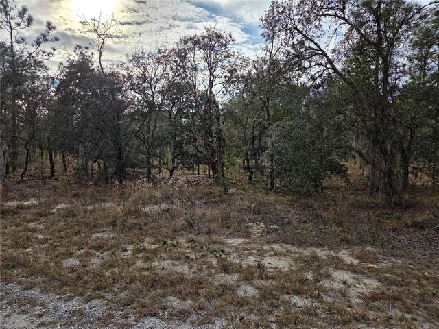 0000 SE 128TH AVENUE, Dunnellon, FL 34431