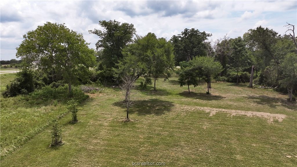 10256 Henley Cove, Iola, TX 77861 — photo 4
