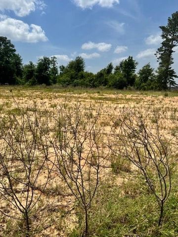 504 Road 5915 15, Cleveland, TX 77327