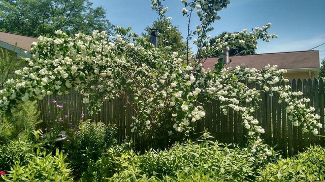 124 RAMLEN COURT, Appleton, WI 54915