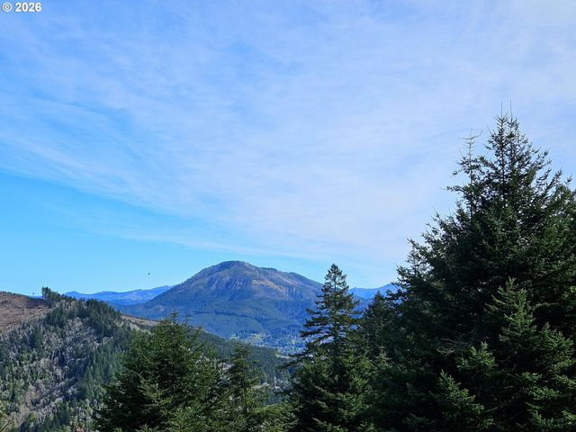 98205 SUNFOREST Ct, Brookings, OR 97415