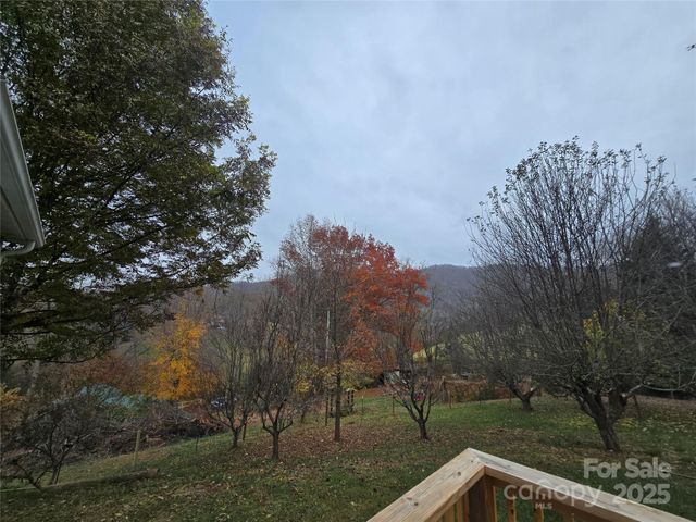 71 London Lane, Clyde, NC 28721