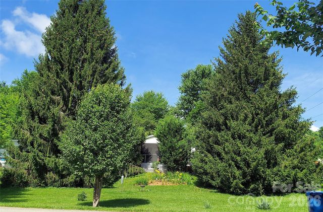 46 Larkspur Lane, Canton, NC 28716
