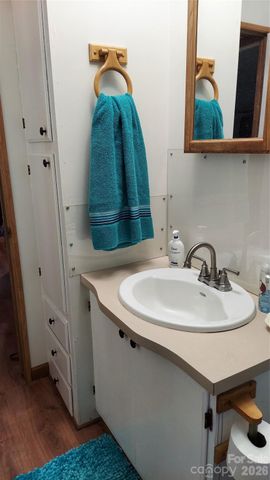 46 Larkspur Lane, Canton, NC 28716