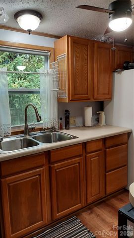 46 Larkspur Lane, Canton, NC 28716
