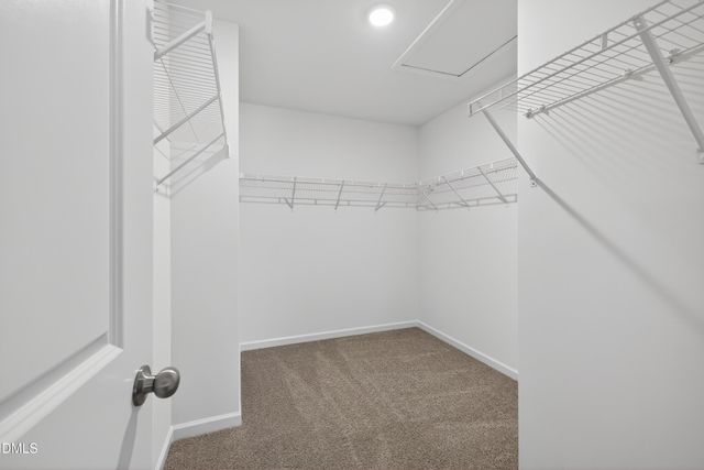 104 White Horse Drive 2962, Louisburg, NC 27549