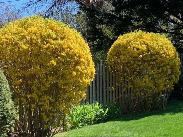 87 Wilkinson St, Worcester, MA 01606