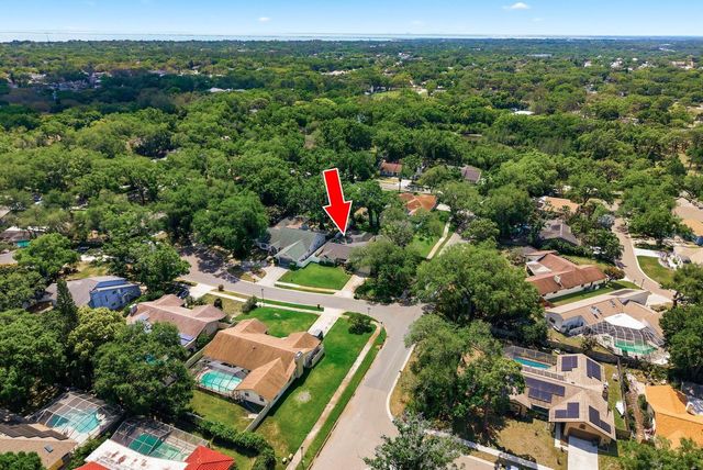 1736 PINE HILL COURT, Safety Harbor, FL 34695