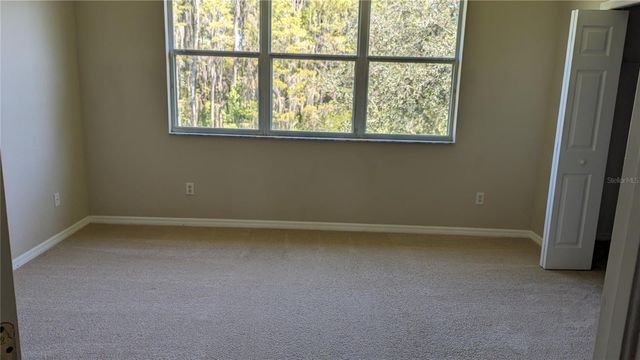 19251 STONE HEDGE DRIVE, Tampa, FL 33647