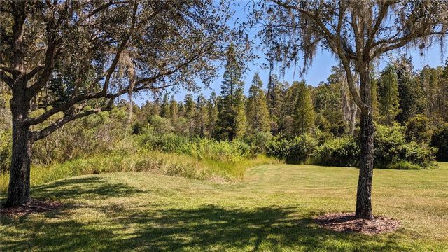 19251 STONE HEDGE DRIVE, Tampa, FL 33647