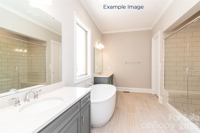 10919 Tyler Brook Lane OAK0049, Mint Hill, NC 28227