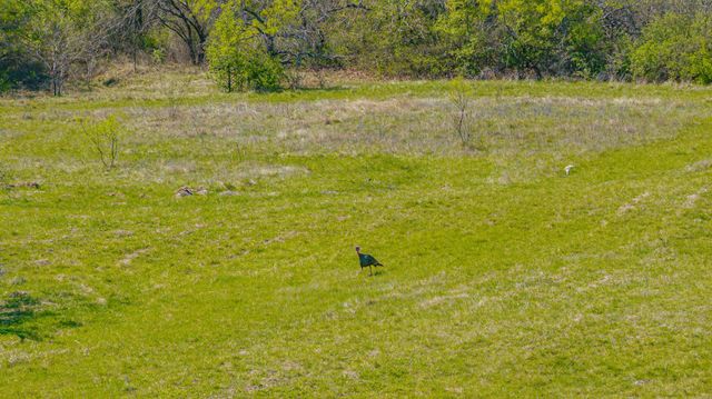 2474 CR 371, Dublin, TX 76446