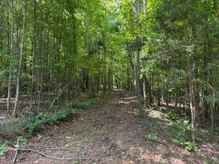 0 Highway 100 W, Centerville, TN 37033