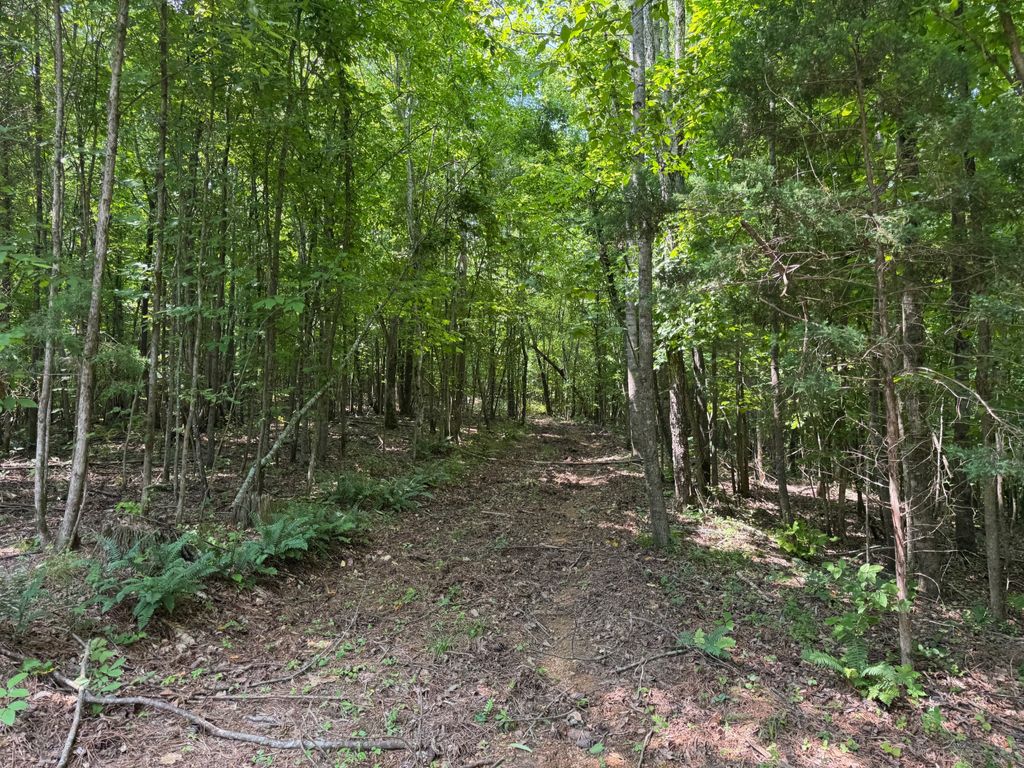 0 Highway 100 W, Centerville, TN 37033