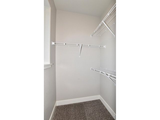 1196 Crown Sparrow St, Johnstown, CO 80534