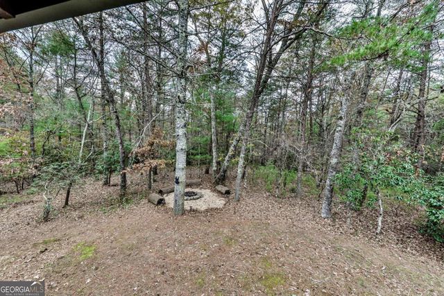 245 Weeks Creek Road, Blue Ridge, GA 30513