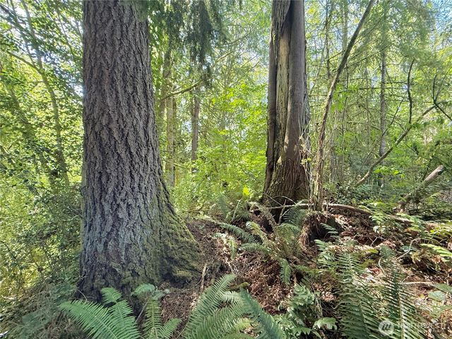 1356 SE Carl Pickel Drive, Port Orchard, WA 98366