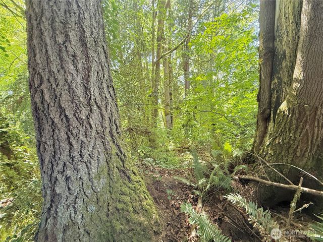 1356 SE Carl Pickel Drive, Port Orchard, WA 98366