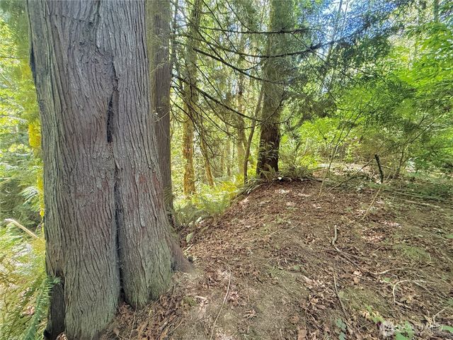 1356 SE Carl Pickel Drive, Port Orchard, WA 98366