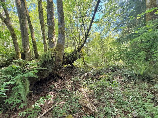 1356 SE Carl Pickel Drive, Port Orchard, WA 98366