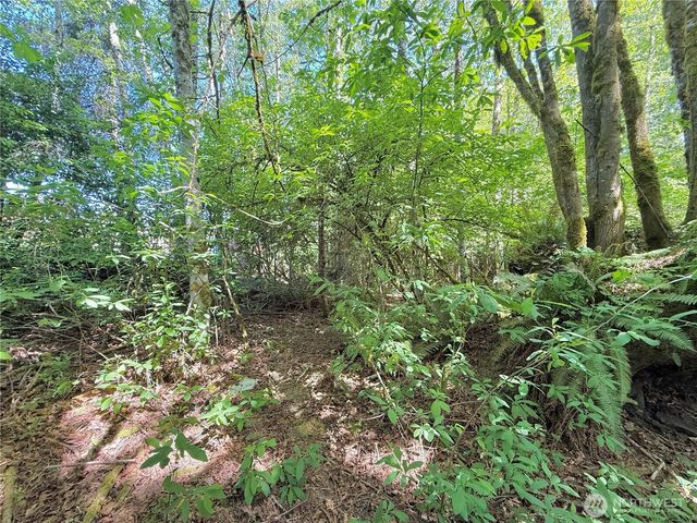 1356 SE Carl Pickel Drive, Port Orchard, WA 98366
